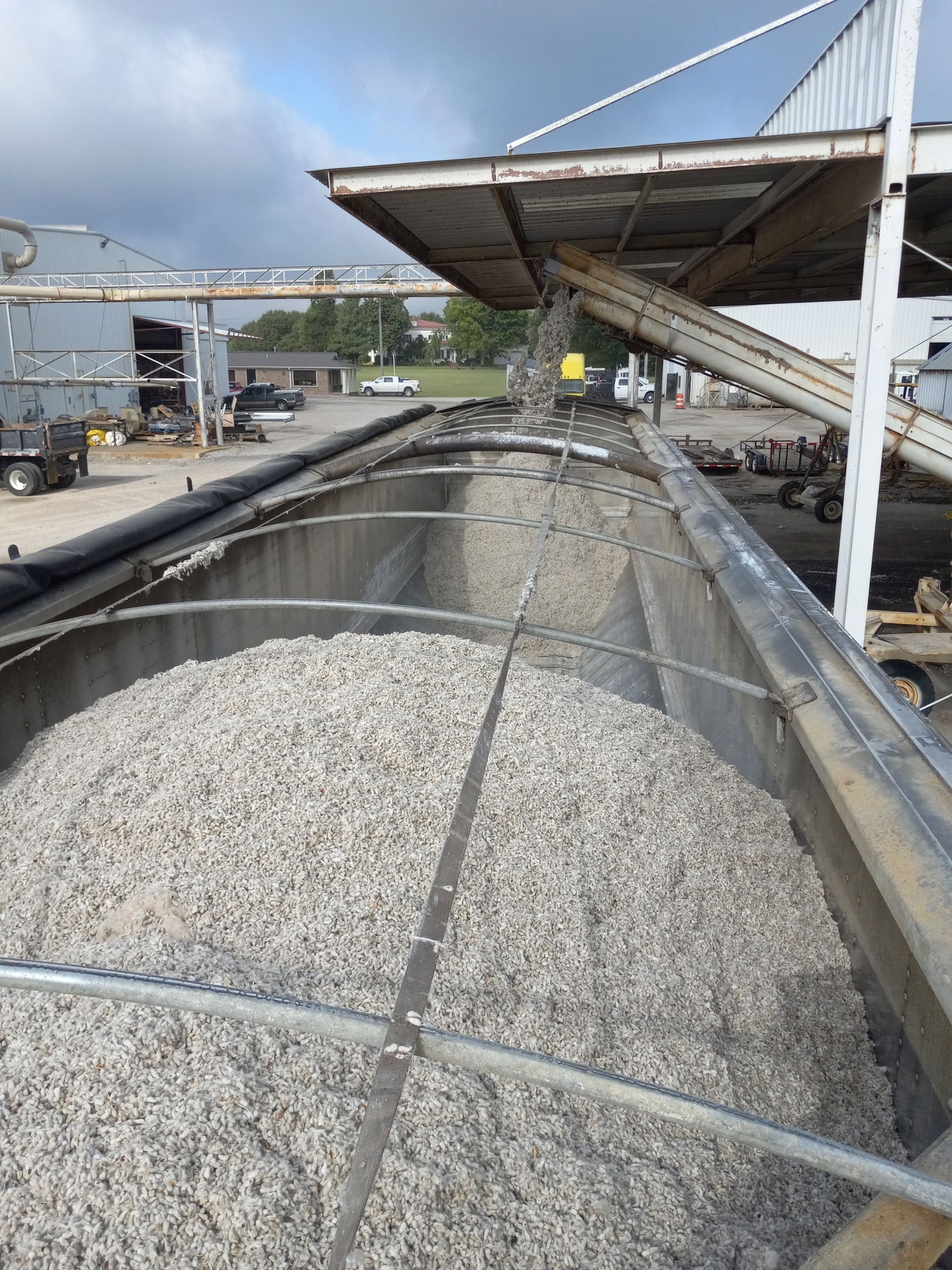 Grain being loaded into a freight train car.