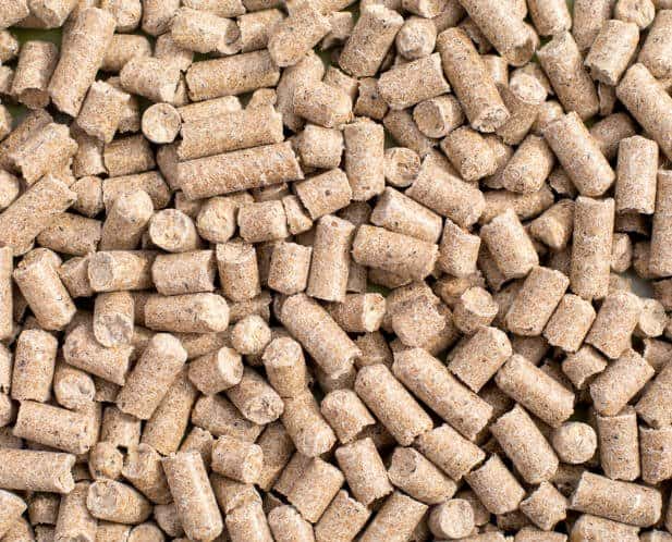 corn gluten pellets