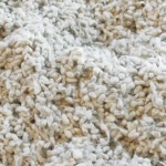 cottonseed