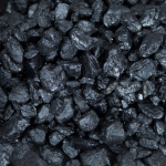 nut coal